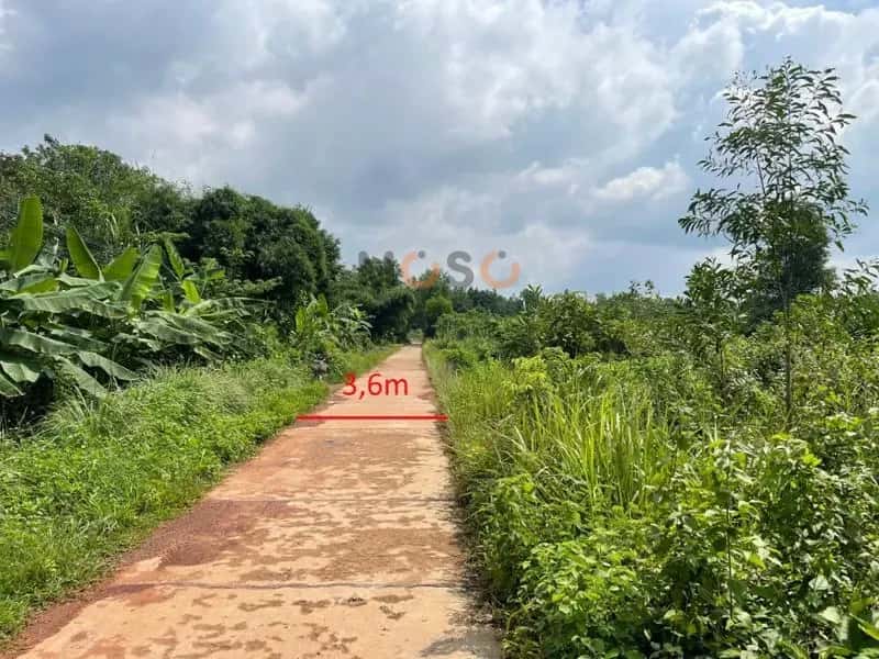 Bán đất Phước Tiến, xã Huyện Đồng Phú, Bình Phước – giá 1.3 tỷ — Hình 2 Bán đất Phước Tiến, xã Huyện Đồng Phú, Bình Phước – giá 1.3 tỷ — Hình 2