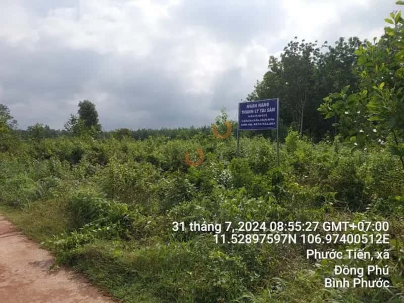 Bán đất Phước Tiến, xã Huyện Đồng Phú, Bình Phước – giá 1.3 tỷ — Hình 3 Bán đất Phước Tiến, xã Huyện Đồng Phú, Bình Phước – giá 1.3 tỷ — Hình 3
