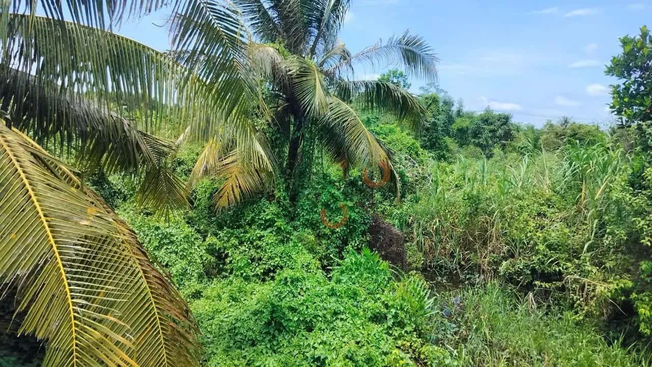 Bán đất Thành phố Vĩnh Long, Vĩnh Long – giá 4.5 tỷ — Hình 2 Bán đất Thành phố Vĩnh Long, Vĩnh Long – giá 4.5 tỷ — Hình 2