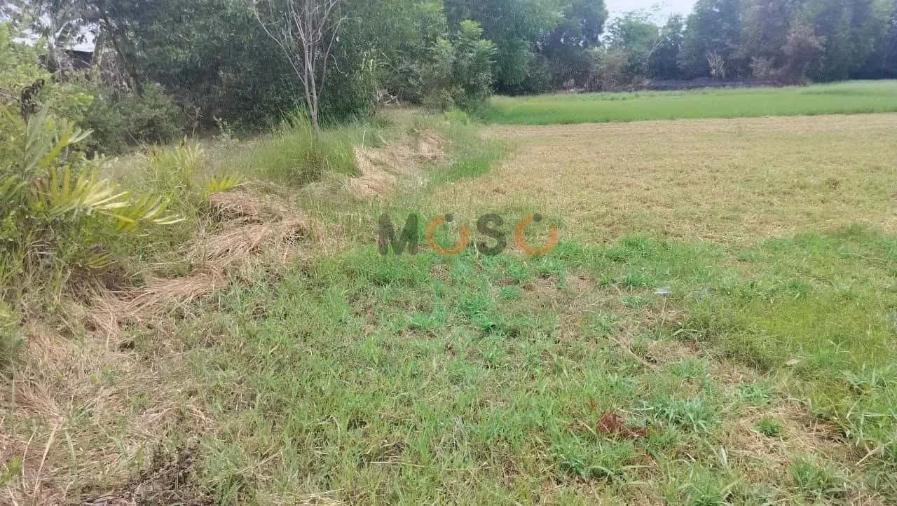 Bán đất Văn Ngọc Chính Thành phố Sóc Trăng, Sóc Trăng – giá 2.9 tỷ — Hình 3 Bán đất Văn Ngọc Chính Thành phố Sóc Trăng, Sóc Trăng – giá 2.9 tỷ — Hình 3