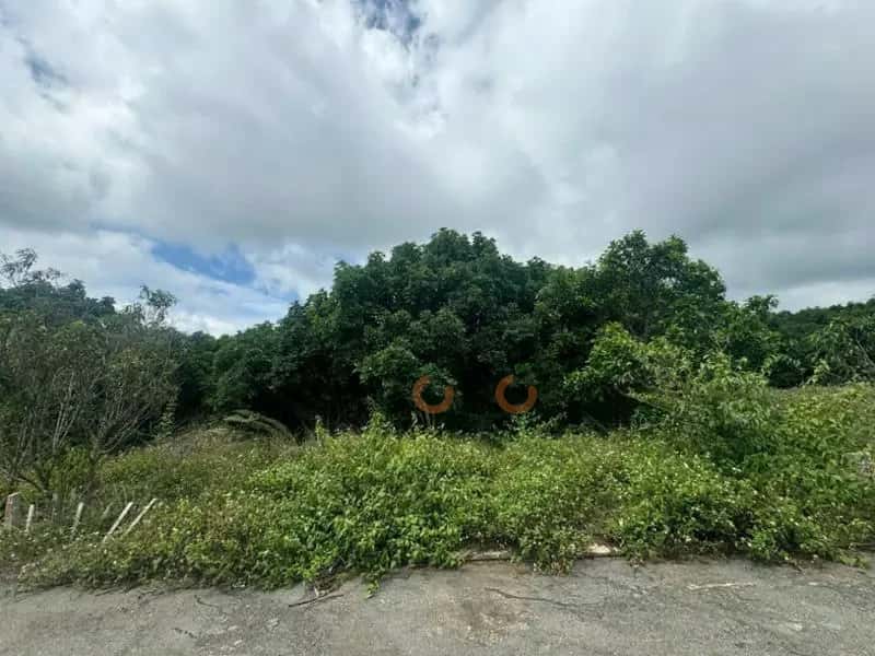Bán đất Huyện Lâm Hà, Lâm Đồng – giá 955.8 triệu — Hình 3 Bán đất Huyện Lâm Hà, Lâm Đồng – giá 955.8 triệu — Hình 3