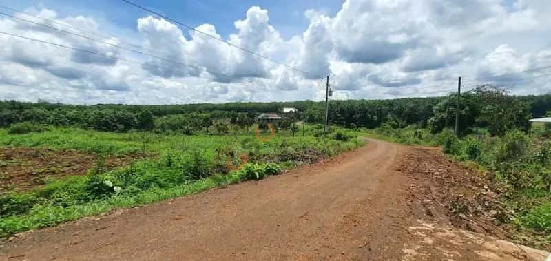 Bán đất Unnamed Huyện Bù Gia Mập, Bình Phước – giá 251 triệu — Hình 3 Bán đất Unnamed Huyện Bù Gia Mập, Bình Phước – giá 251 triệu — Hình 3