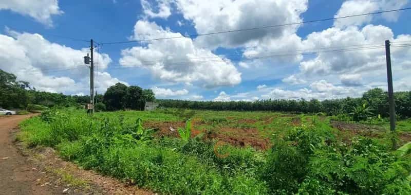 Bán đất Unnamed Huyện Bù Gia Mập, Bình Phước – giá 227 triệu — Hình 3 Bán đất Unnamed Huyện Bù Gia Mập, Bình Phước – giá 227 triệu — Hình 3