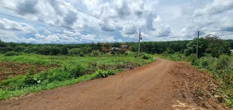 Bán đất Unnamed Huyện Bù Gia Mập, Bình Phước – giá 241 triệu — Hình 3 Bán đất Unnamed Huyện Bù Gia Mập, Bình Phước – giá 241 triệu — Hình 3