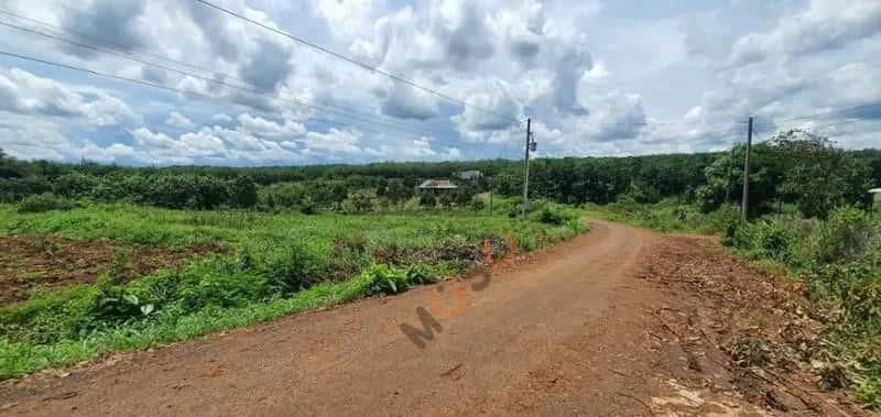 Bán đất Unnamed Huyện Bù Gia Mập, Bình Phước – giá 241 triệu — Hình 2 Bán đất Unnamed Huyện Bù Gia Mập, Bình Phước – giá 241 triệu — Hình 2
