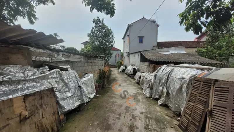 Bán đất Huyện Quế Võ, Bắc Ninh – giá 1.2 tỷ — Hình 2 Bán đất Huyện Quế Võ, Bắc Ninh – giá 1.2 tỷ — Hình 2
