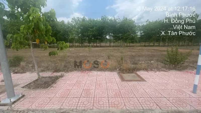 Bán đất Huyện Đồng Phú, Bình Phước – giá 346 triệu — Hình 2 Bán đất Huyện Đồng Phú, Bình Phước – giá 346 triệu — Hình 2