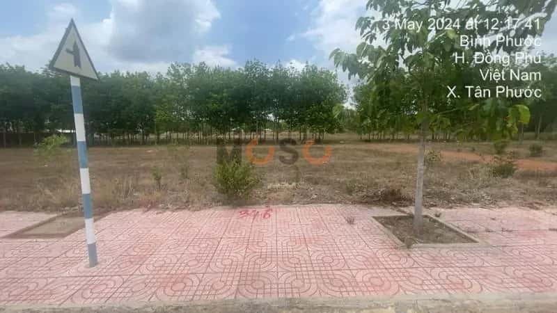 Bán đất Huyện Đồng Phú, Bình Phước – giá 346 triệu — Hình 2 Bán đất Huyện Đồng Phú, Bình Phước – giá 346 triệu — Hình 2