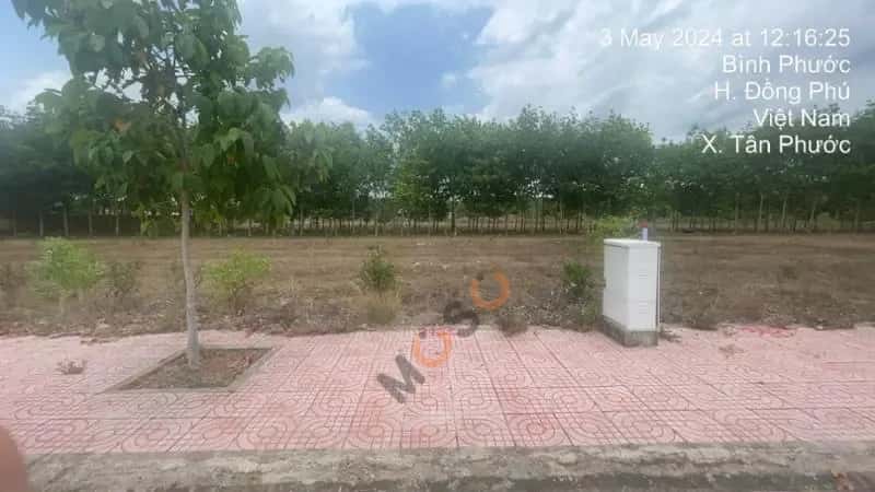 Bán đất Huyện Đồng Phú, Bình Phước – giá 346 triệu — Hình 2 Bán đất Huyện Đồng Phú, Bình Phước – giá 346 triệu — Hình 2