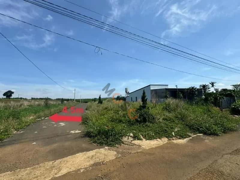 Bán đất Bảo Lâm, Lâm Đồng – giá 1 tỷ — Hình 3 Bán đất Bảo Lâm, Lâm Đồng – giá 1 tỷ — Hình 3