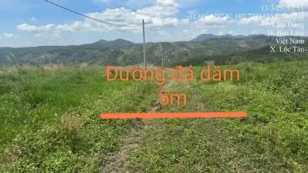Bán đất Huyện Bảo Lâm, Lâm Đồng – giá 589 triệu — Hình 2 Bán đất Huyện Bảo Lâm, Lâm Đồng – giá 589 triệu — Hình 2