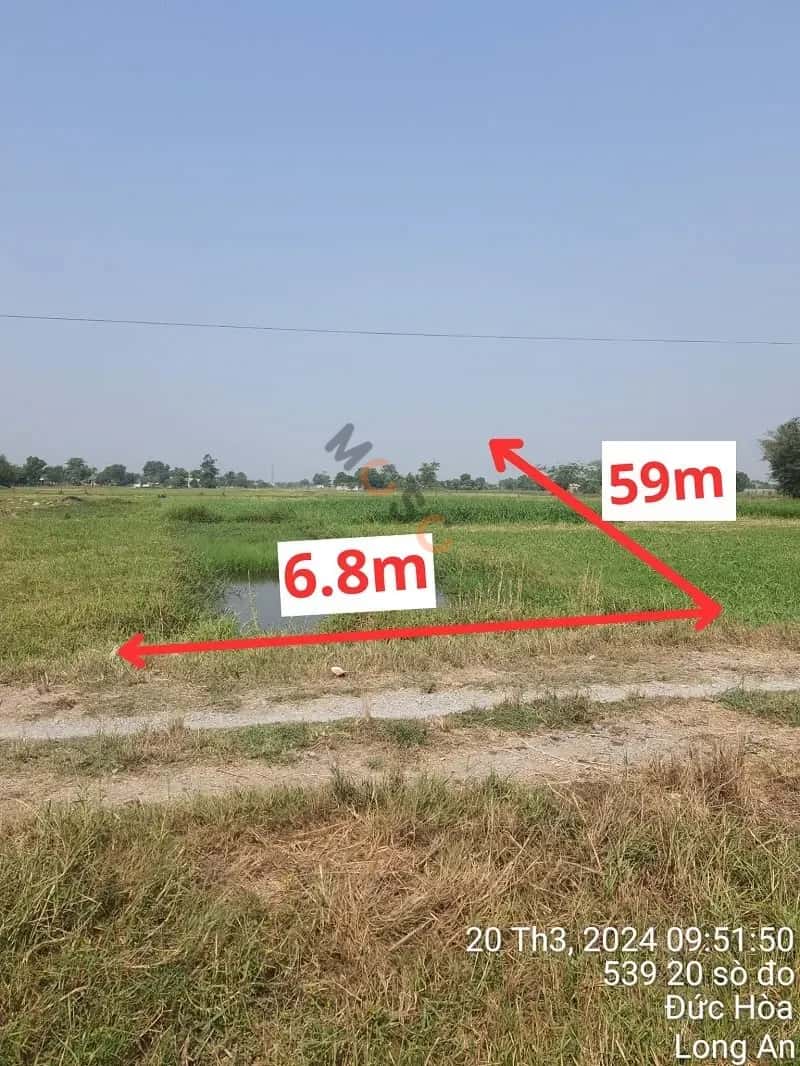 Bán đất 20 sò đo Đức Hòa, Long An – giá 1.8 tỷ — Hình 3 Bán đất 20 sò đo Đức Hòa, Long An – giá 1.8 tỷ — Hình 3