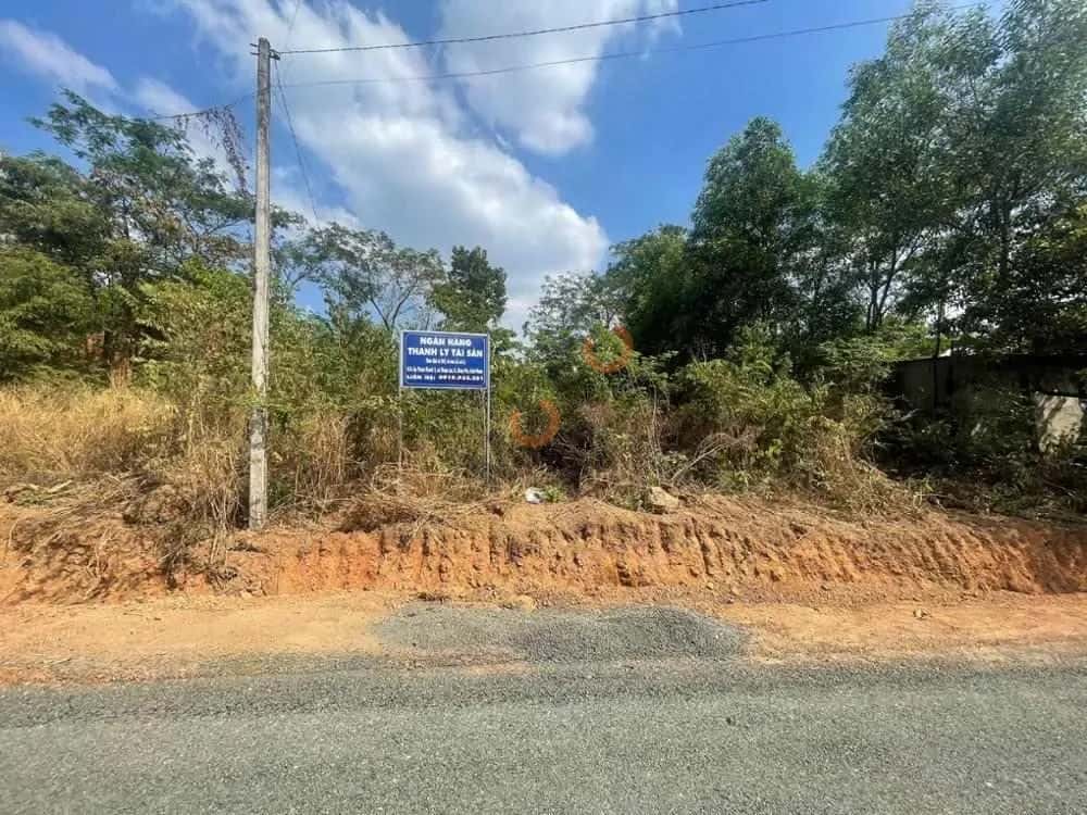 Bán đất Thuận Thành 2 Huyện Đồng Phú, Bình Phước – giá 315 triệu — Hình 2 Bán đất Thuận Thành 2 Huyện Đồng Phú, Bình Phước – giá 315 triệu — Hình 2
