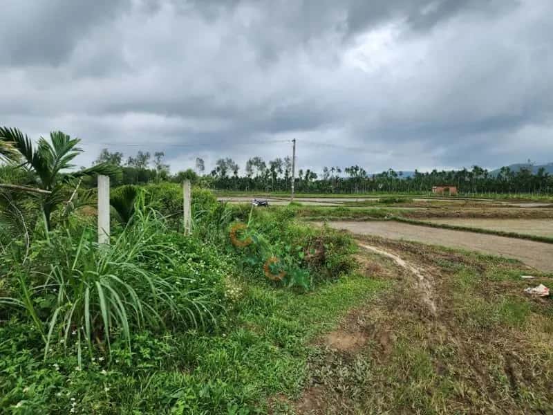 Bán đất Huyện Nghĩa Hành, Quảng Ngãi – giá 1.4 tỷ — Hình 3 Bán đất Huyện Nghĩa Hành, Quảng Ngãi – giá 1.4 tỷ — Hình 3