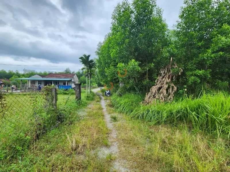 Bán đất Huyện Sơn Tịnh, Quảng Ngãi – giá 694 triệu — Hình 3 Bán đất Huyện Sơn Tịnh, Quảng Ngãi – giá 694 triệu — Hình 3