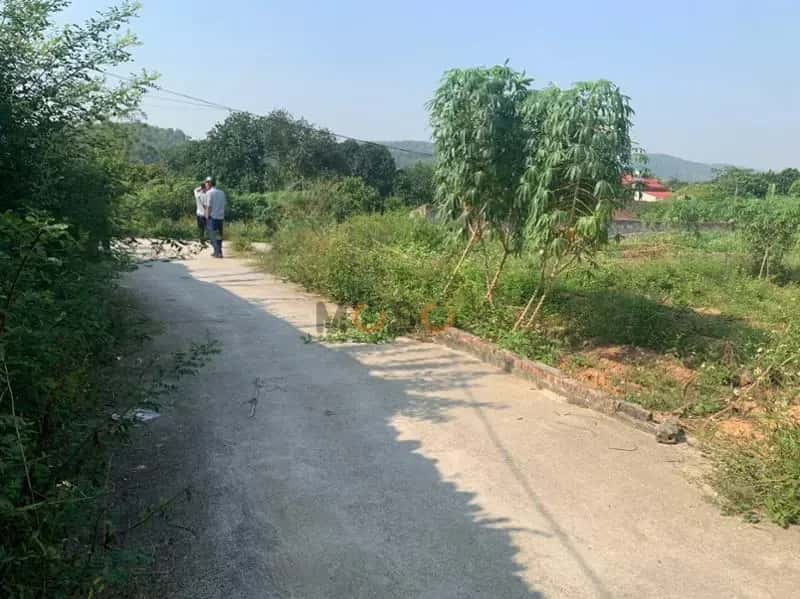 Bán đất Huyện Quế Võ, Bắc Ninh – giá 1.2 tỷ — Hình 3 Bán đất Huyện Quế Võ, Bắc Ninh – giá 1.2 tỷ — Hình 3