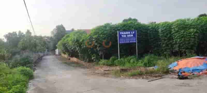 Image Image