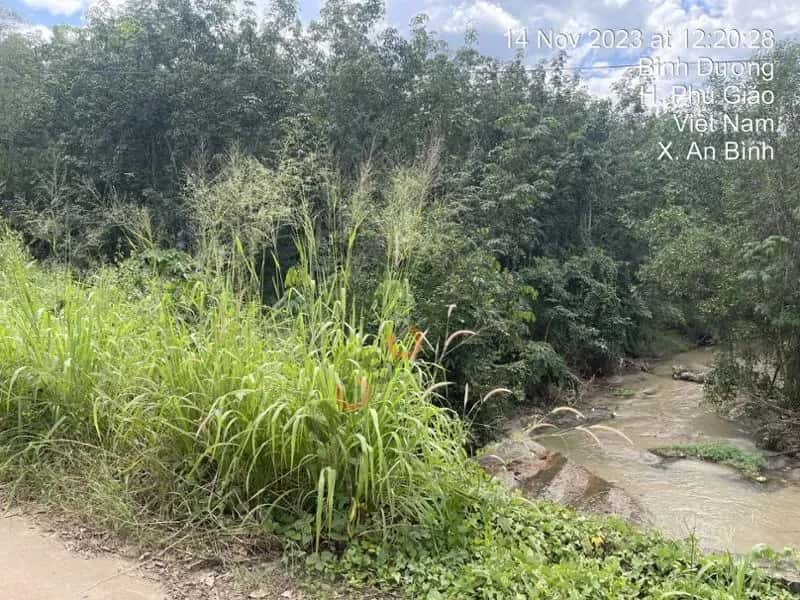 Bán đất Bàu Ao Huyện Phú Giáo, Bình Dương – giá 1.9 tỷ — Hình 2 Bán đất Bàu Ao Huyện Phú Giáo, Bình Dương – giá 1.9 tỷ — Hình 2