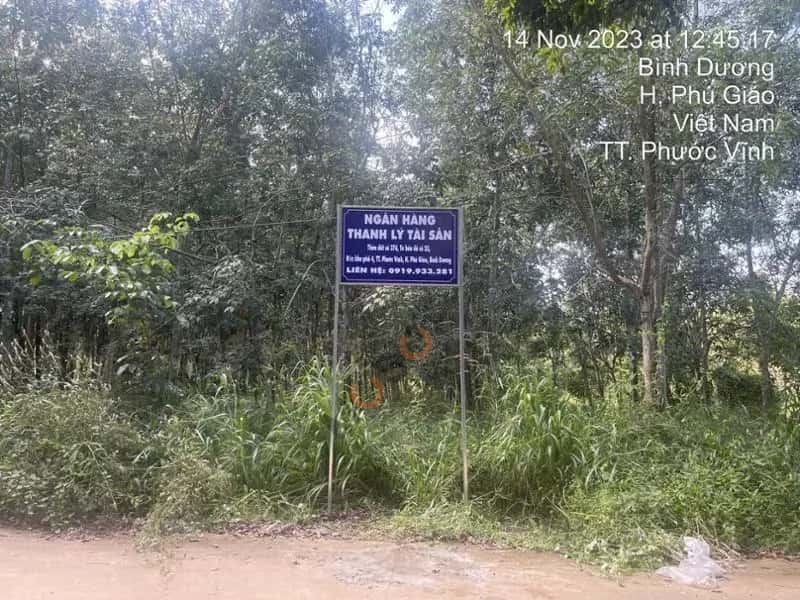 Bán đất Bàu Ao Huyện Phú Giáo, Bình Dương – giá 1.9 tỷ — Hình 3 Bán đất Bàu Ao Huyện Phú Giáo, Bình Dương – giá 1.9 tỷ — Hình 3