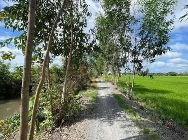 Bán đất Đức Hòa, Long An – giá 1.8 tỷ — Hình 3 Bán đất Đức Hòa, Long An – giá 1.8 tỷ — Hình 3