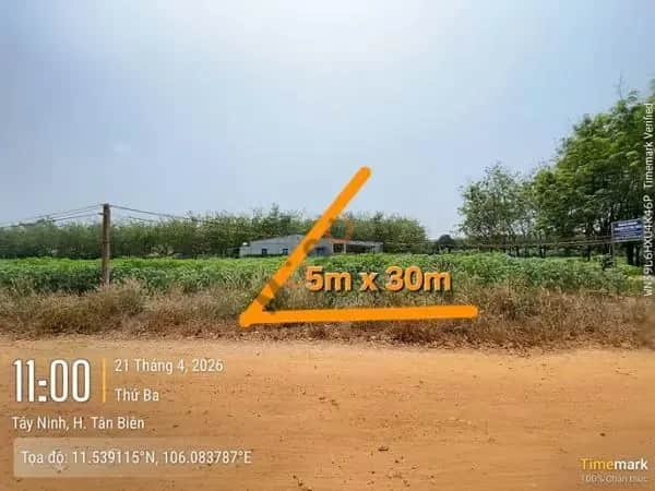 Bán đất Đường Trần Vĩnh Lộc Thành phố Tây Ninh, Tây Ninh – giá 208 triệu Bán đất Đường Trần Vĩnh Lộc Thành phố Tây Ninh, Tây Ninh – giá 208 triệu