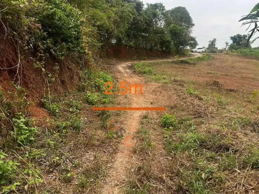 Bán đất Châu Đức, BRVT – giá 560 triệu — Hình 2 Bán đất Châu Đức, BRVT – giá 560 triệu — Hình 2
