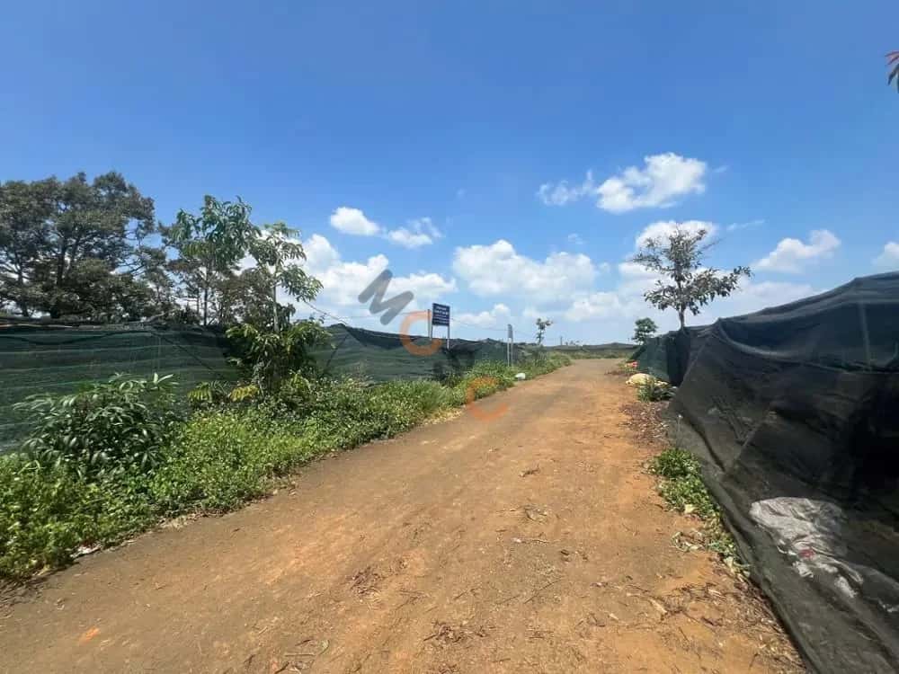 Bán đất Thành phố Bảo Lộc, Lâm Đồng – giá 1.6 tỷ — Hình 3 Bán đất Thành phố Bảo Lộc, Lâm Đồng – giá 1.6 tỷ — Hình 3