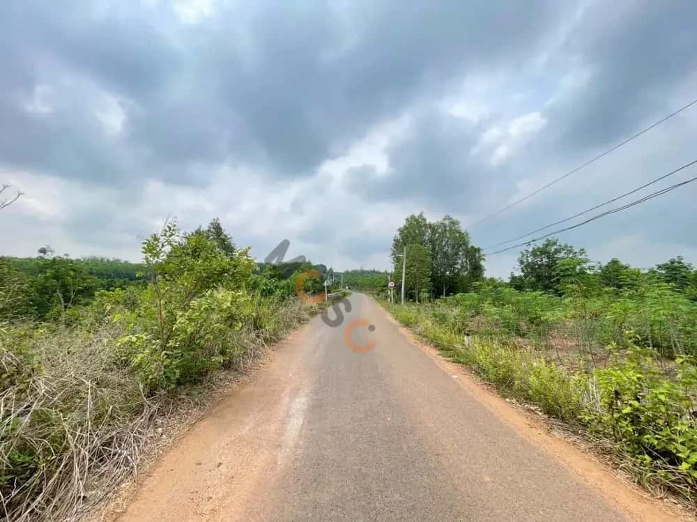 Bán đất Huyện Phú Giáo, Bình Dương – giá 2.4 tỷ — Hình 2 Bán đất Huyện Phú Giáo, Bình Dương – giá 2.4 tỷ — Hình 2
