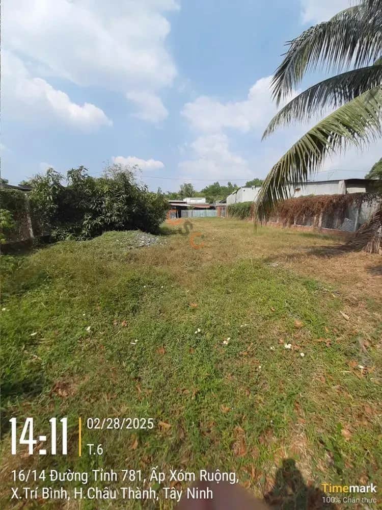 Bán đất Huyện Châu Thành, Tây Ninh – giá 1.4 tỷ Bán đất Huyện Châu Thành, Tây Ninh – giá 1.4 tỷ