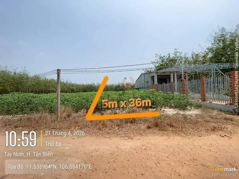 Bán đất Đường Trần Vĩnh Lộc Huyện Tân Biên, Tây Ninh – giá 144 triệu — Hình 2 Bán đất Đường Trần Vĩnh Lộc Huyện Tân Biên, Tây Ninh – giá 144 triệu — Hình 2