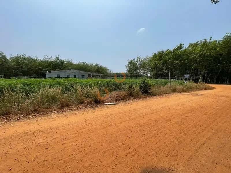 Bán đất Đường Trần Vĩnh Lộc Huyện Tân Biên, Tây Ninh – giá 144 triệu — Hình 3 Bán đất Đường Trần Vĩnh Lộc Huyện Tân Biên, Tây Ninh – giá 144 triệu — Hình 3