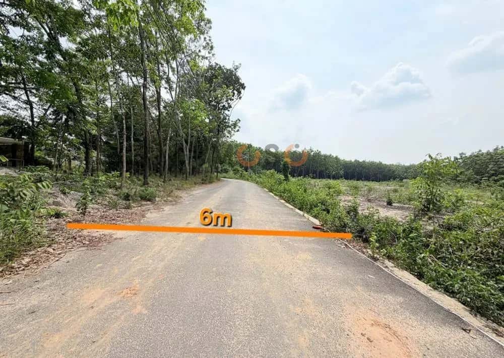 Bán đất Thị xã Bến Cát, Bình Dương – giá 3.1 tỷ — Hình 2 Bán đất Thị xã Bến Cát, Bình Dương – giá 3.1 tỷ — Hình 2