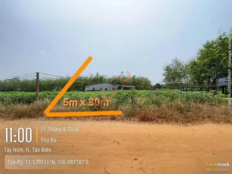 Bán đất Đường Trần Vĩnh Lộc Huyện Tân Biên, Tây Ninh – giá 143 triệu Bán đất Đường Trần Vĩnh Lộc Huyện Tân Biên, Tây Ninh – giá 143 triệu