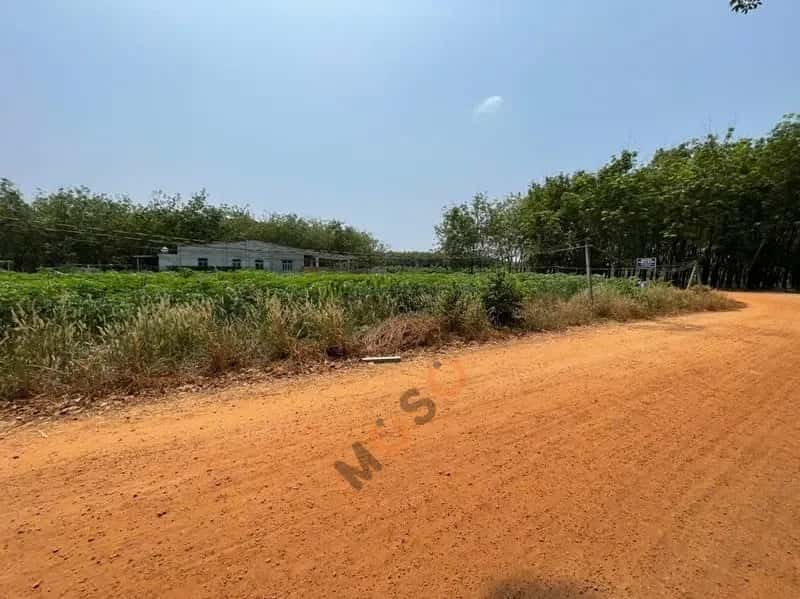Bán đất Đường Trần Vĩnh Lộc Huyện Tân Biên, Tây Ninh – giá 143 triệu — Hình 3 Bán đất Đường Trần Vĩnh Lộc Huyện Tân Biên, Tây Ninh – giá 143 triệu — Hình 3