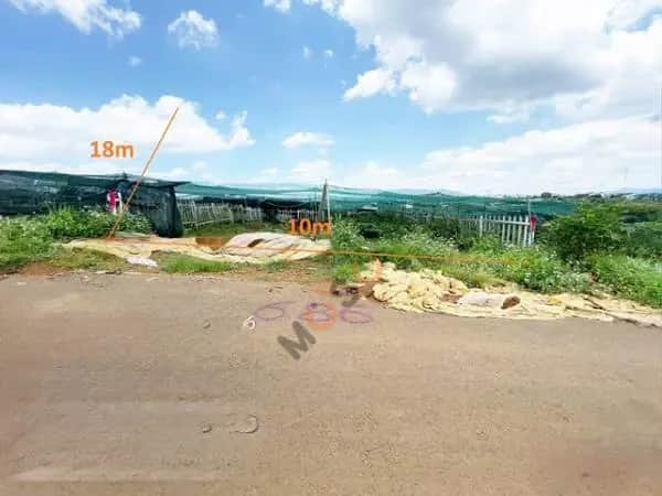 Bán đất Thành phố Bảo Lộc, Lâm Đồng – giá 1.1 tỷ Bán đất Thành phố Bảo Lộc, Lâm Đồng – giá 1.1 tỷ