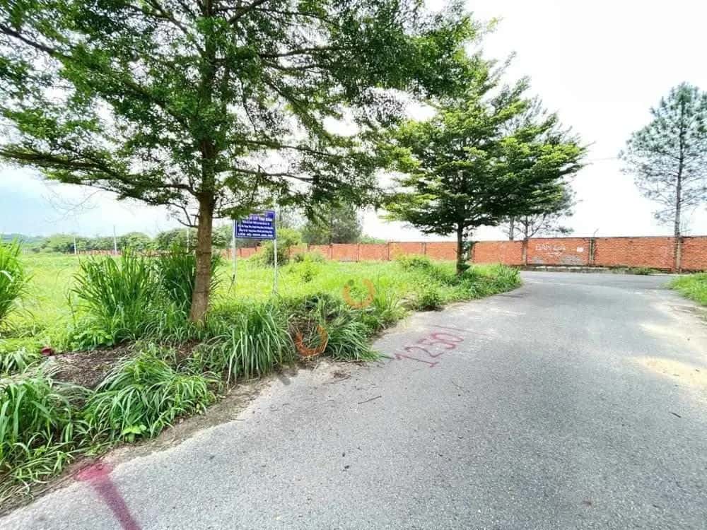 Bán đất Xã Giang Điền, Đồng Nai – giá 898 triệu — Hình 2 Bán đất Xã Giang Điền, Đồng Nai – giá 898 triệu — Hình 2