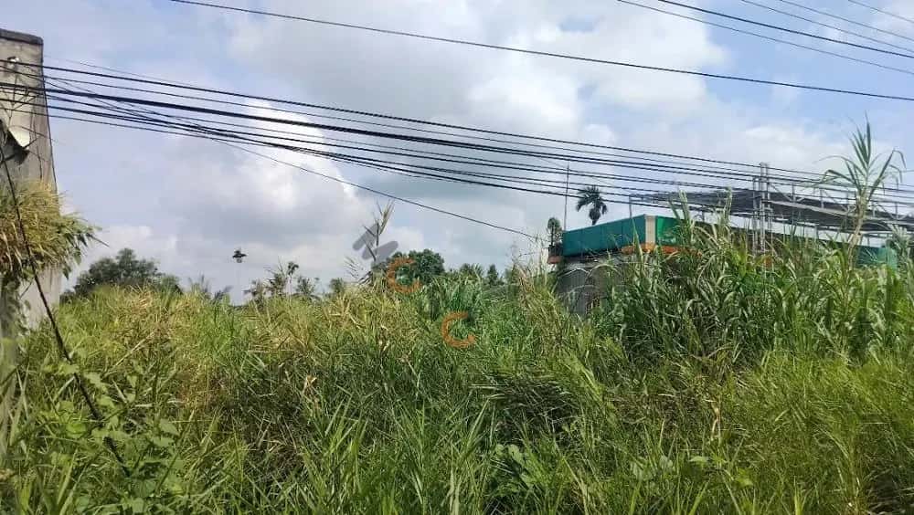 Bán đất Đường Huyện 17 Thới Lai, Cần Thơ – giá 1.8 tỷ — Hình 3 Bán đất Đường Huyện 17 Thới Lai, Cần Thơ – giá 1.8 tỷ — Hình 3