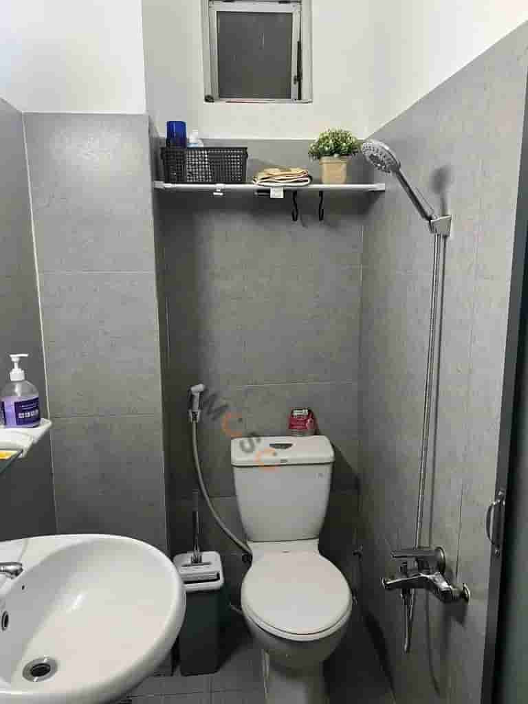 Image Image