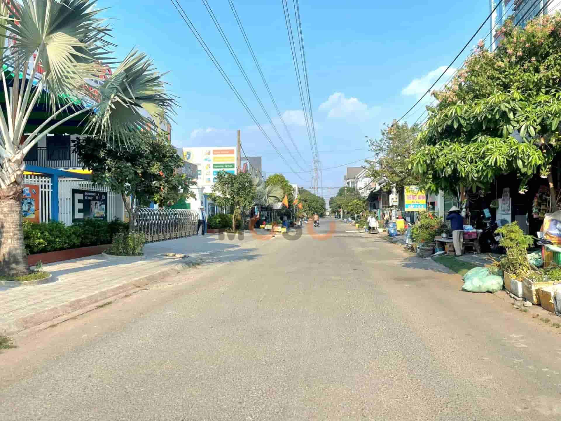 Image Image