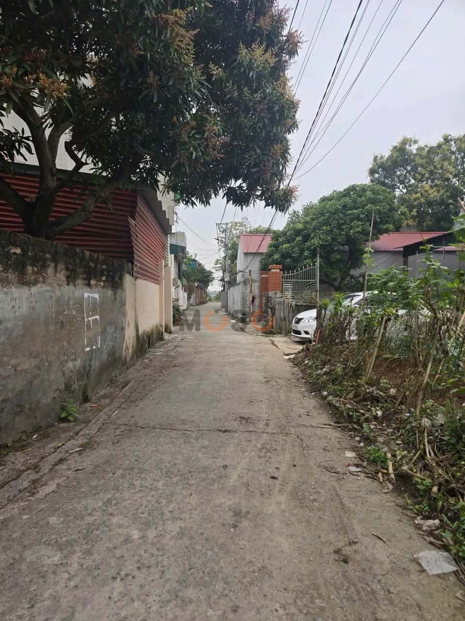 Bán đất Ngõ 194 , Việt Hòa Thành phố Hải Dương, Hải Dương – giá 1.3 tỷ — Hình 3 Bán đất Ngõ 194 , Việt Hòa Thành phố Hải Dương, Hải Dương – giá 1.3 tỷ — Hình 3