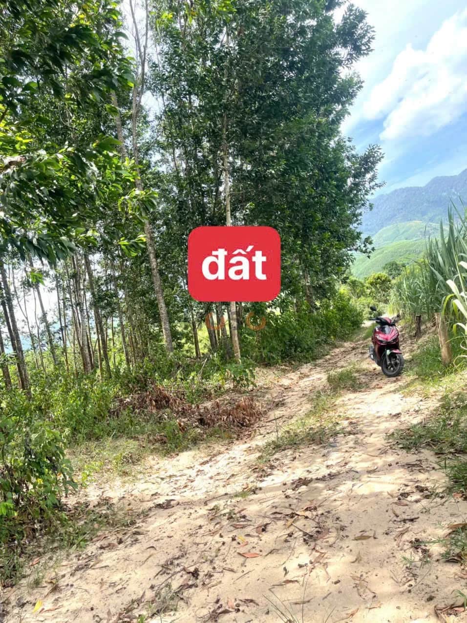 Bán đất Thôn Tà Gộc Huyện Khánh Vĩnh, Khánh Hòa – giá 299 triệu Bán đất Thôn Tà Gộc Huyện Khánh Vĩnh, Khánh Hòa – giá 299 triệu