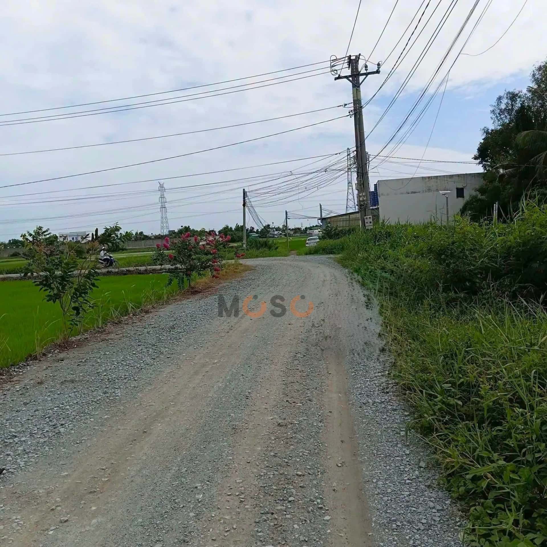 Bán đất Ấp 1A Huyện Cần Đước, Long An – giá 850 triệu — Hình 2 Bán đất Ấp 1A Huyện Cần Đước, Long An – giá 850 triệu — Hình 2