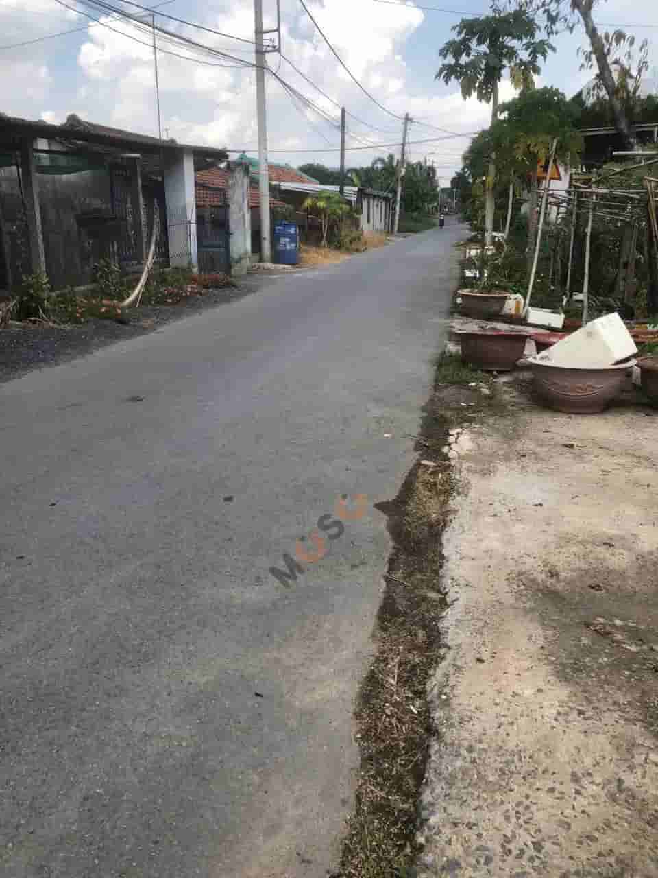 Image Image