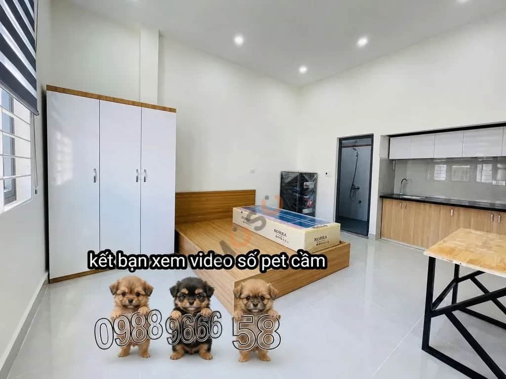 Cho thuê phòng trọ Đường Nguyễn Trãi Quận 5, TP.HCM – giá 3.8 triệu Cho thuê phòng trọ Đường Nguyễn Trãi Quận 5, TP.HCM – giá 3.8 triệu