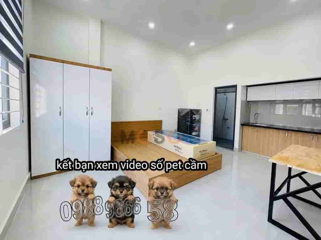 Image Image