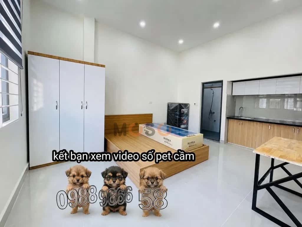 Cho thuê phòng trọ Đường Nguyễn Trãi Quận 5, TP.HCM – giá 3.8 triệu — Hình 2 Cho thuê phòng trọ Đường Nguyễn Trãi Quận 5, TP.HCM – giá 3.8 triệu — Hình 2