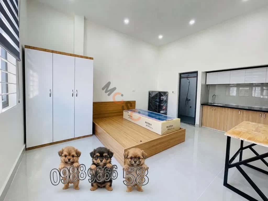 Cho thuê phòng trọ Đường Nguyễn Trãi Quận 5, TP.HCM – giá 3.8 triệu — Hình 3 Cho thuê phòng trọ Đường Nguyễn Trãi Quận 5, TP.HCM – giá 3.8 triệu — Hình 3