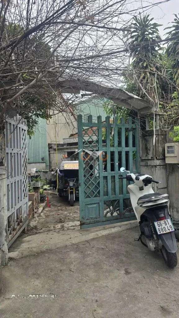 Cho thuê đất Đường Tiền Lân 13 Huyện Hóc Môn, TP.HCM – giá 8 triệu — Hình 3 Cho thuê đất Đường Tiền Lân 13 Huyện Hóc Môn, TP.HCM – giá 8 triệu — Hình 3