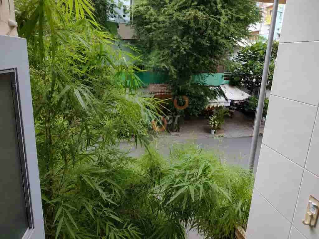 Image Image
