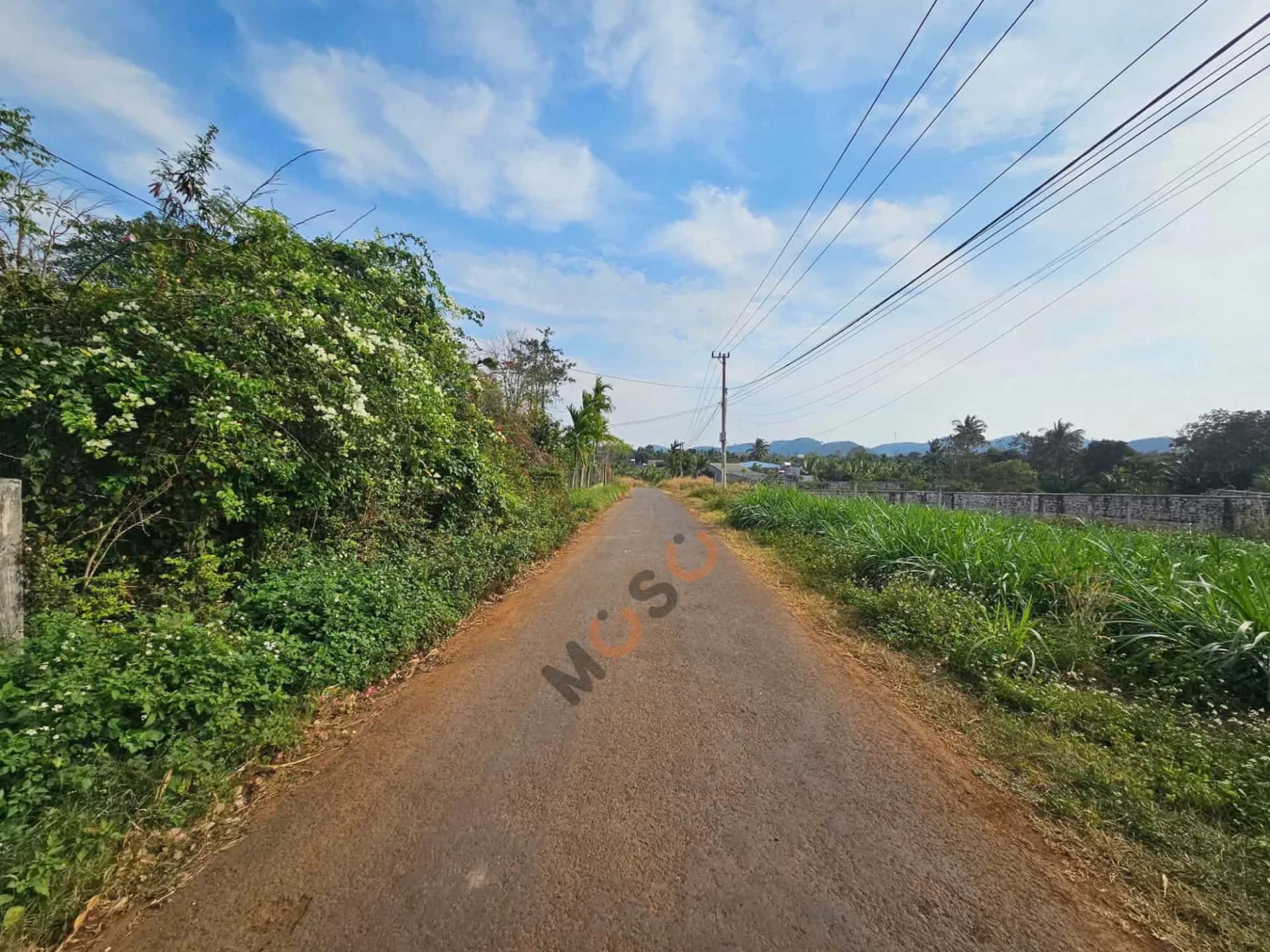 Bán đất Thôn 3 Thành phố Buôn Ma Thuột, Đắk Lắk – giá 870 triệu — Hình 2 Bán đất Thôn 3 Thành phố Buôn Ma Thuột, Đắk Lắk – giá 870 triệu — Hình 2